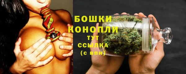 бошки Верея